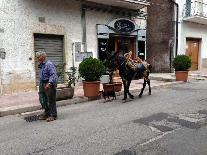 Il Pieddo Daire Vico Del Gargano Dış mekan fotoğraf