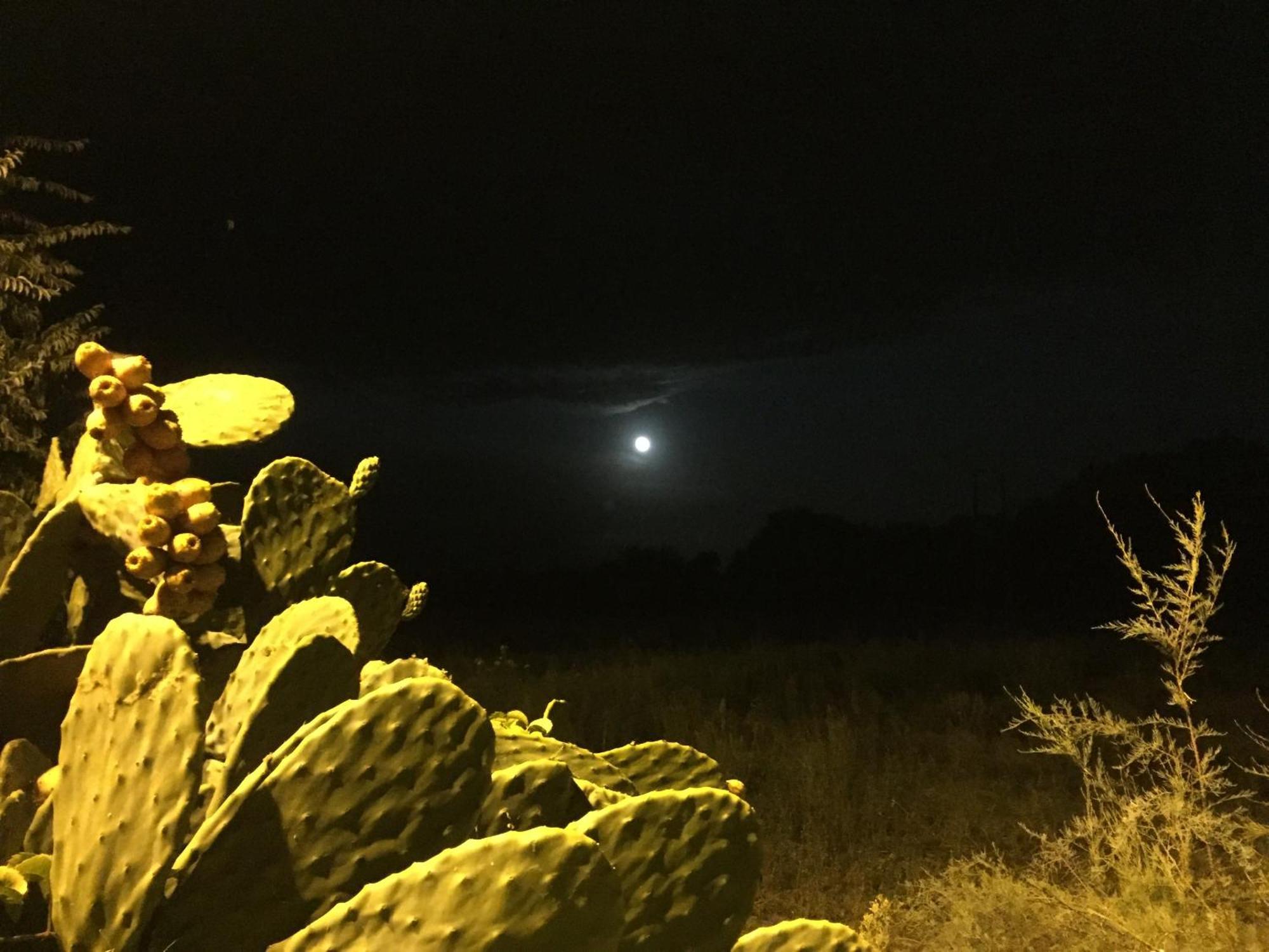 Il Pieddo Daire Vico Del Gargano Dış mekan fotoğraf